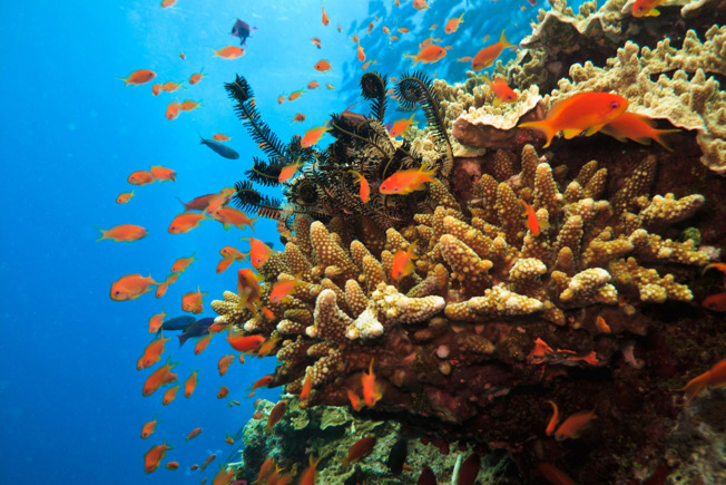 Australia's Top Attractions: Must-See Sites and Landmarks