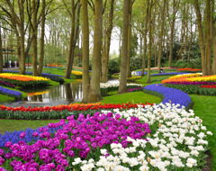 Netherlands Keukenhof Gardens (1)