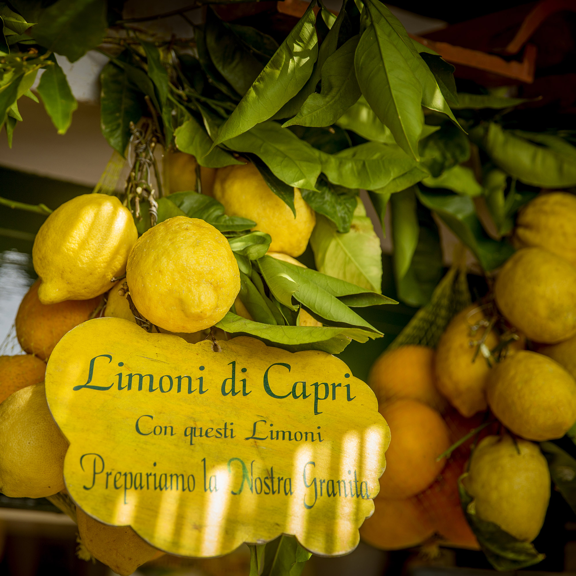 Italy Capri Lemons Limoni Sign