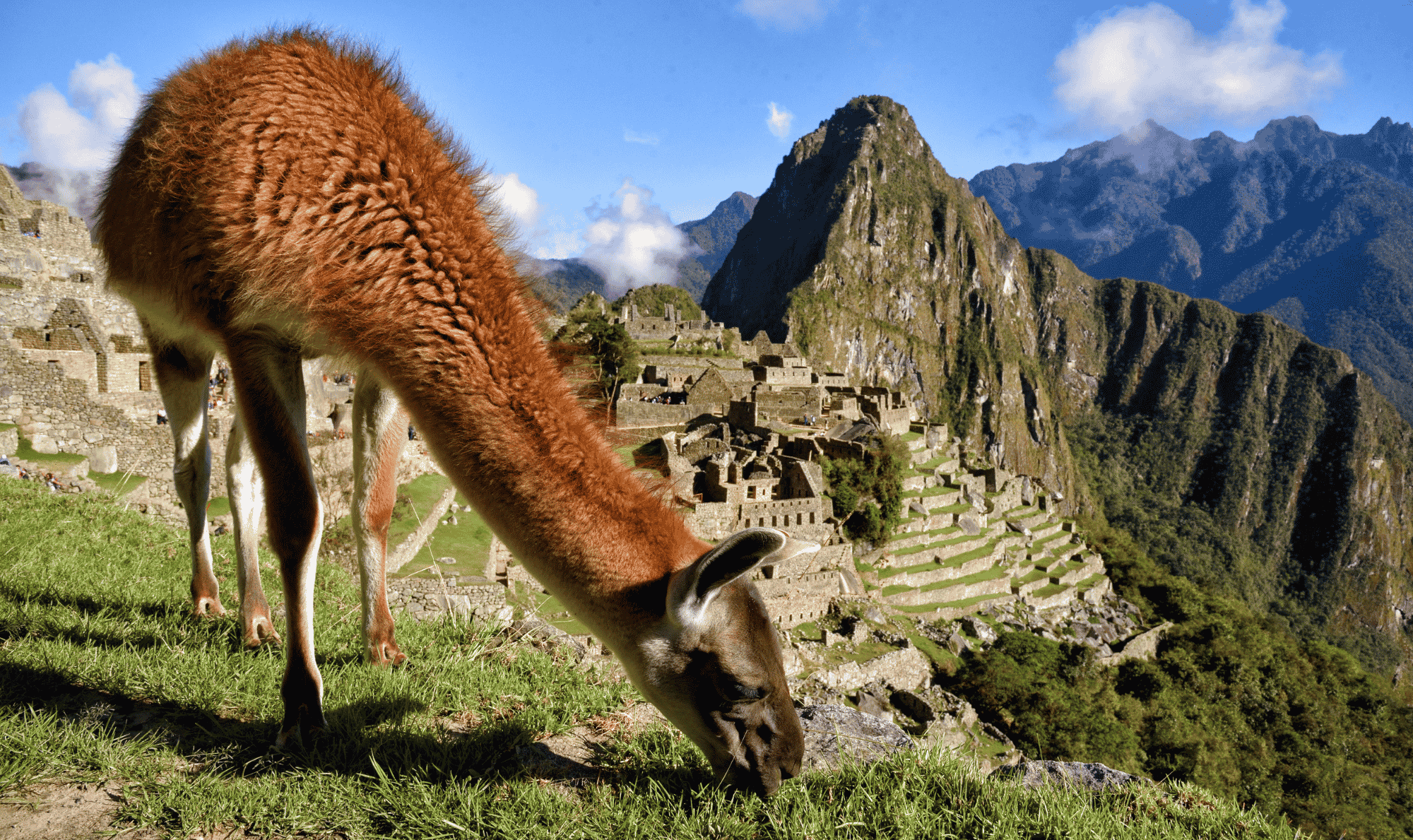 Peru Machu Picchu Sacred Valley Llama Expert Travel Advice Iconic Photos To Take Around The World
