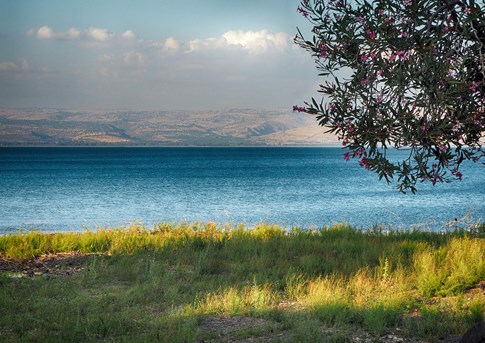 Israel Sea Of Galilee
