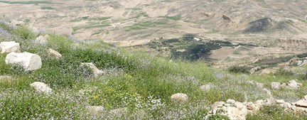 Jordan Mt Neebo Aerial View
