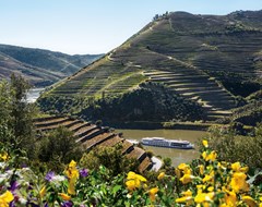 A Uniworld river cruise sails through wine country in the Douro River Valley in spring