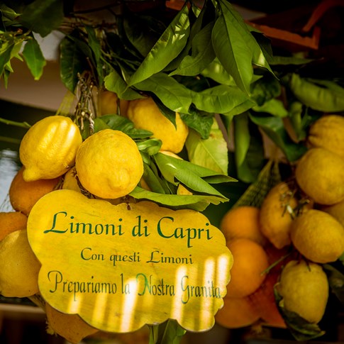 Italy Capri Lemons Limoni Sign