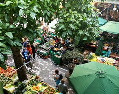 Expert Food Market Outdoor Stalls Fruit Farmers Markets Umbrella Trees Shop Shoppers