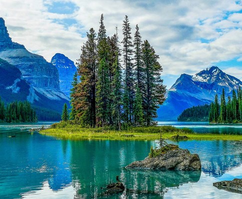 Canada Jasper National Park Reflecting Water Trees