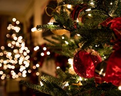 Christmas Tree Lights Orniments Expert