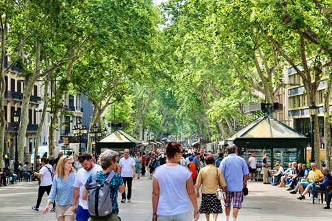 Spain Barcelona La Rambla Street Vendors Trees Walk Expert