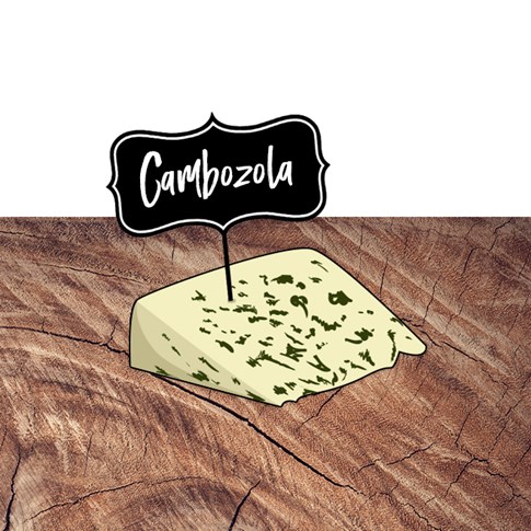 Germany Cambozola food expert cheese