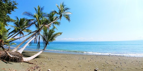 costa-rica-guanacaste-beach-palm-trees-ocean-tamarindo-bay-sand-water