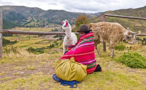 Native Peruvian with llama, Sacred Valley, Peru