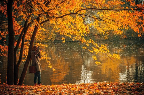 Usa Fall Colors Trees Lake Person Photography Leaves Red Gold Yellow (1)