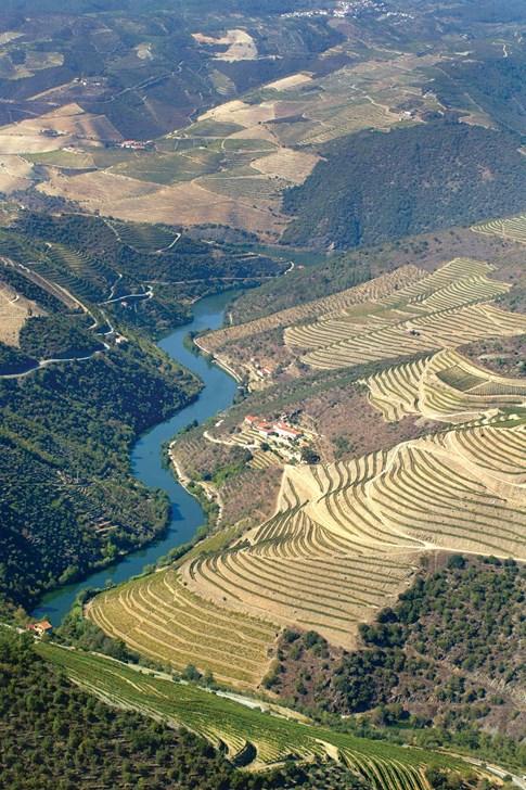 Aerial view of Douro River Valley, Portugal