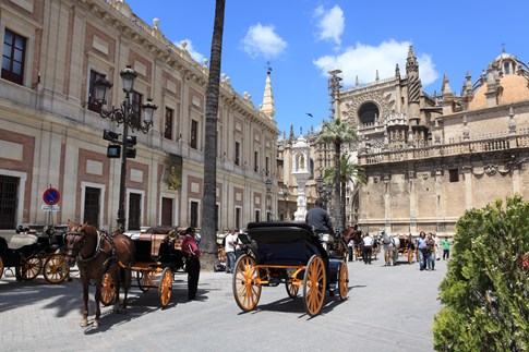 Horse and carriage in Seville, Spain