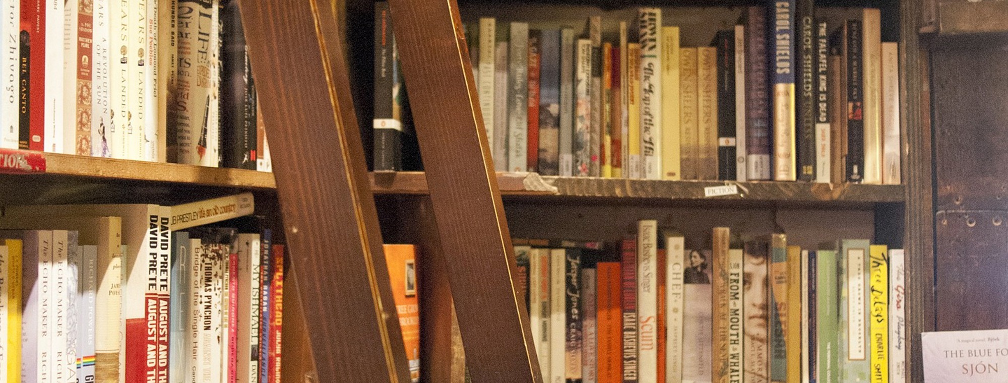 Expert France Paris Bookstore Bookshop Books Ladder