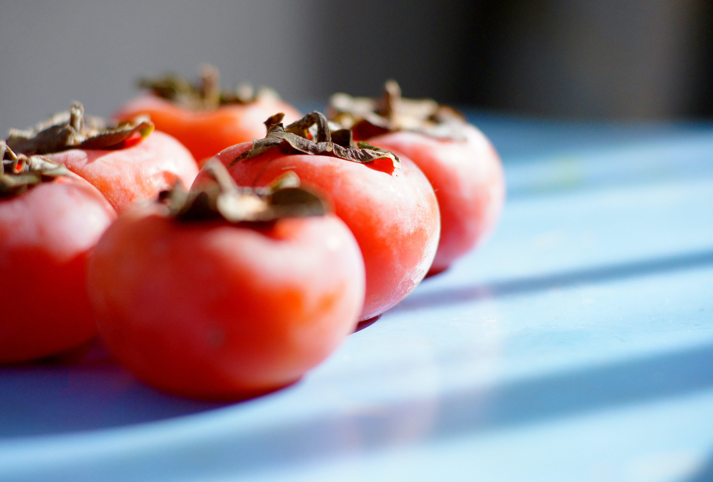 Expert Food Permissimons