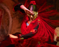 Spain Flamenco Red Dress Music Dance Dancer Music 134433137