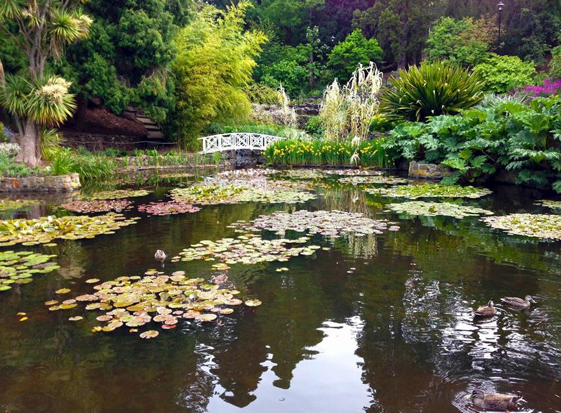 Visit Royal Tasmanian Botanical Gardens (1)