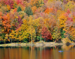 Usa New England Stowe Fall Colors
