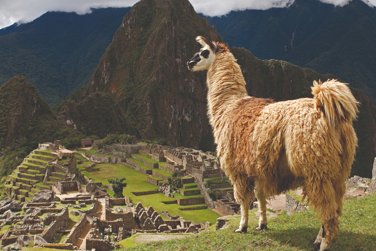 Peru with Machu Picchu Tour Grand European Travel