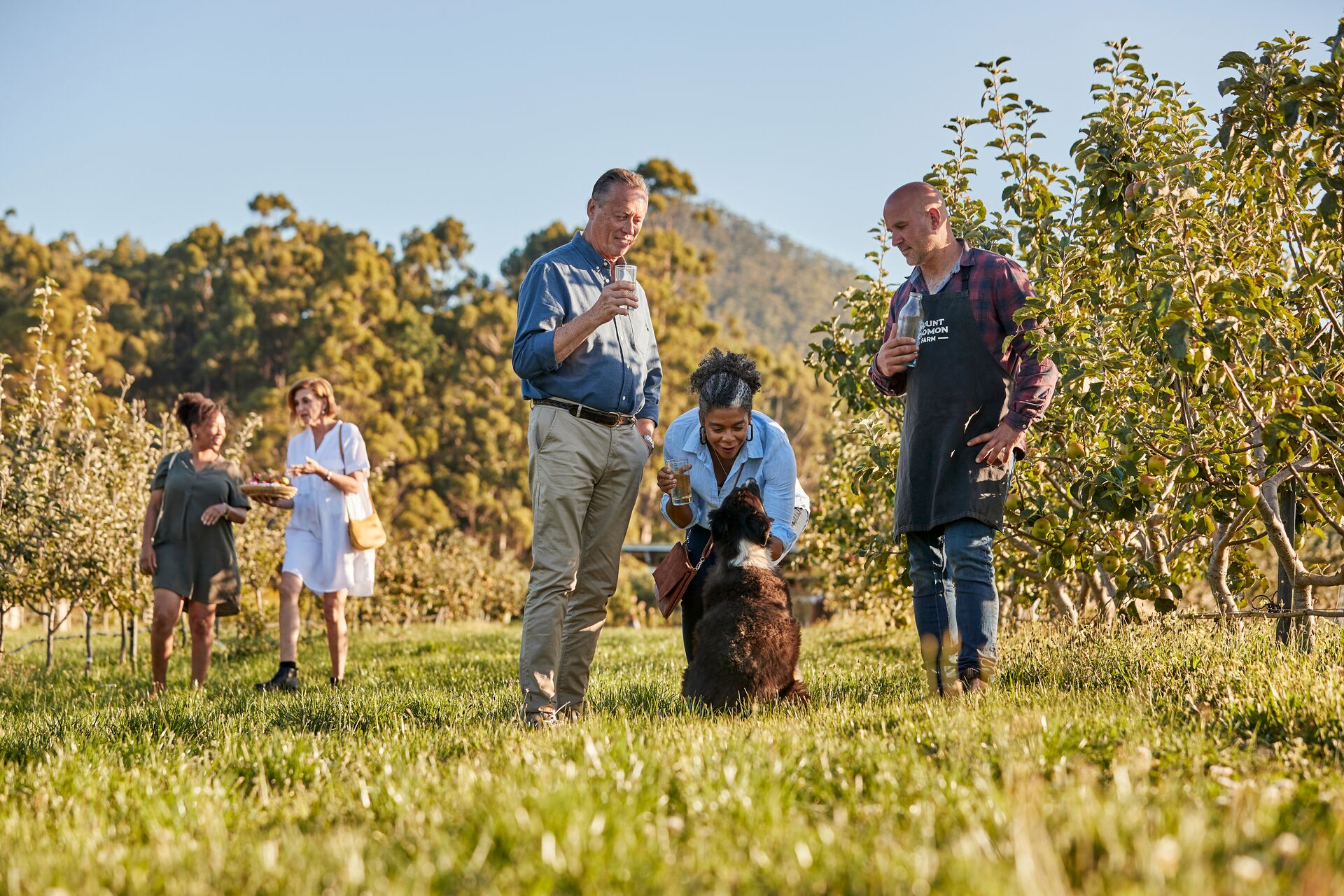 Large BMG Australia Tasmania Mount Gnomon Farm With Guy Robertson