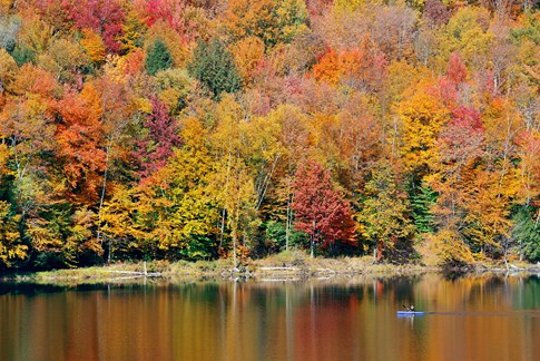 Fall colors in Stowe, Vermont