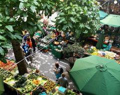 Expert Food Market Outdoor Stalls Fruit Farmers Markets Umbrella Trees Shop Shoppers