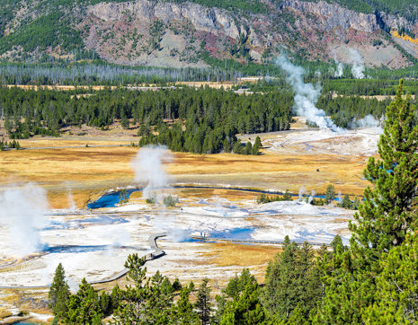 Usa Yellowstone National Park Geyser