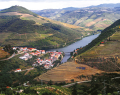 Portugal Pinhao Countryside Douro River