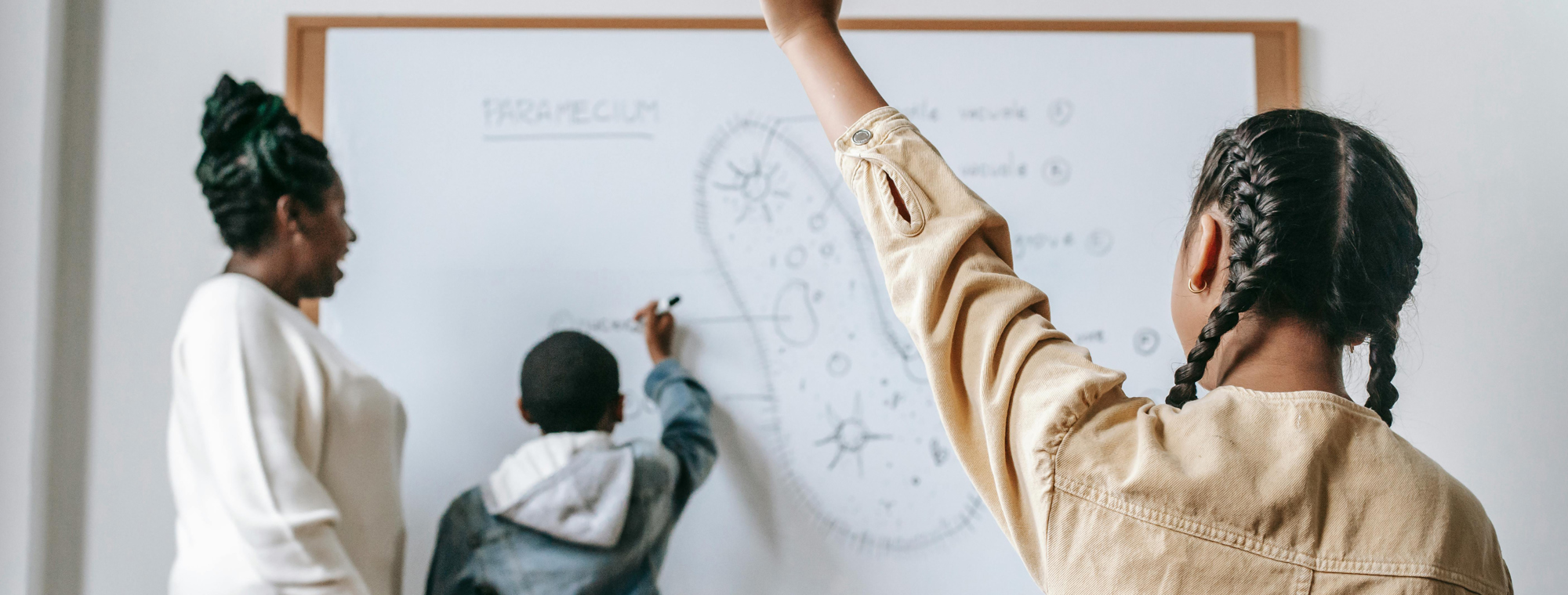 Teacher Classroom Kids Students Science Deserve Break Vacation Why Expert Travel Advice (1)