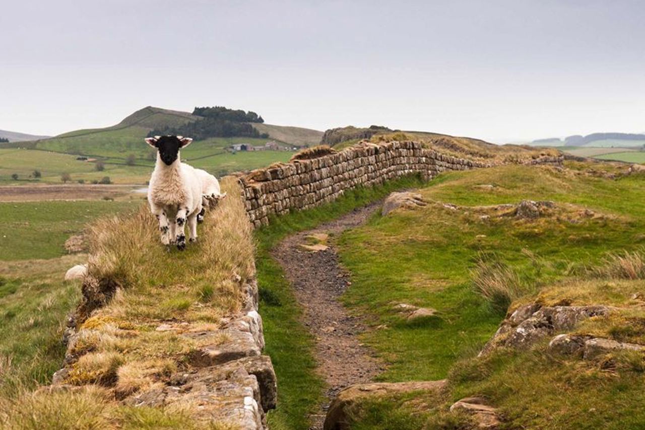 THE BEST 10 HOTELS near 91 LIVERPOOL RD, MANCHESTER M3 4JN, UNITED KINGDOM  - Updated 2025 - Hours - Yelp, image size:1280x854