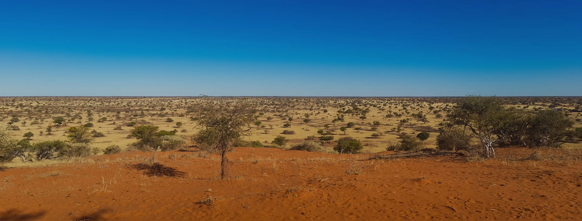Africa Tours Kalahari Desert Namibia