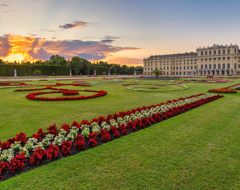 Vineyards And Palaces Along The Danube With Prague