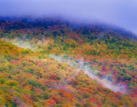 Usa Vermont Stowe New England Fall Colors Smoky Hills
