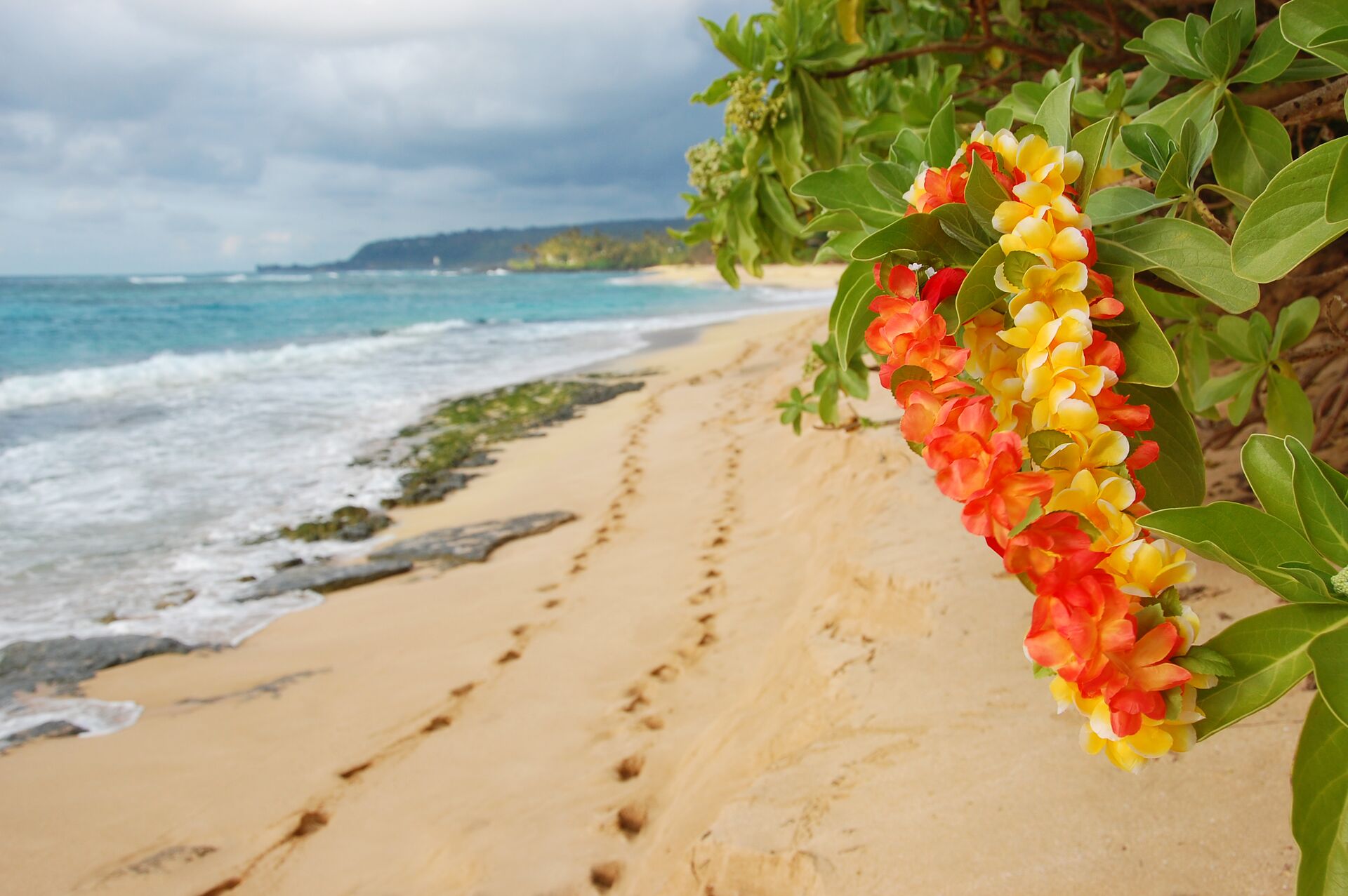 HAWAIIAN EXPLORER (PREMIUM)
