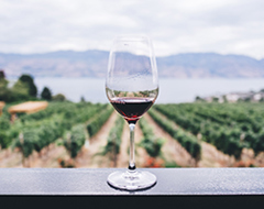 Expert Ea Food Red Wine Glass Vineyard