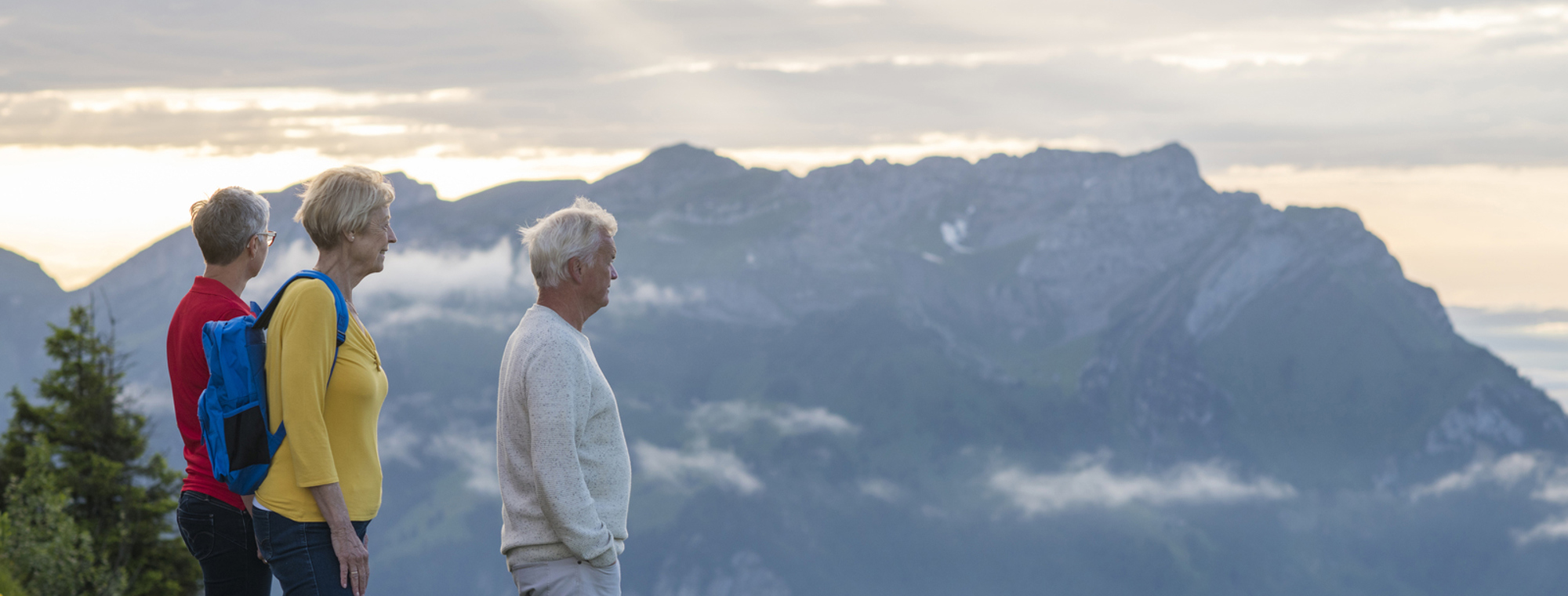 Switzerland Mountain Top Guests View Looking Out Iv Expert