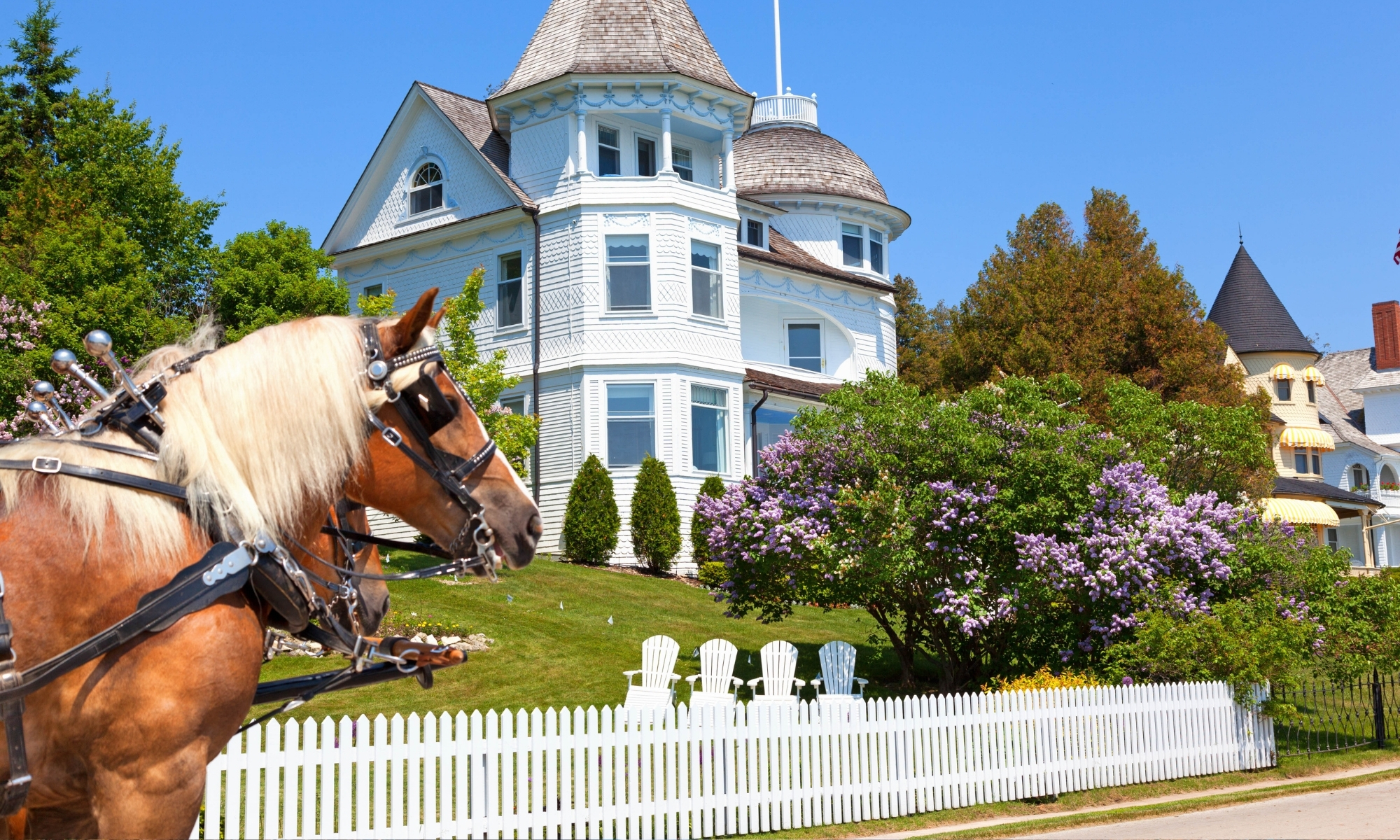 Usa Mackinac Islandmichigan Horse Drawn Carriage Tour Best Places To Book A Trip In America Tour Dark Overlay Collections Expert Travel Advice Guided Vacations