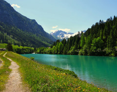 Austria Countryside Mountains Flowers Riverside