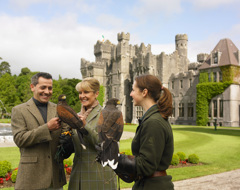Ireland Ashford Castle Falconry