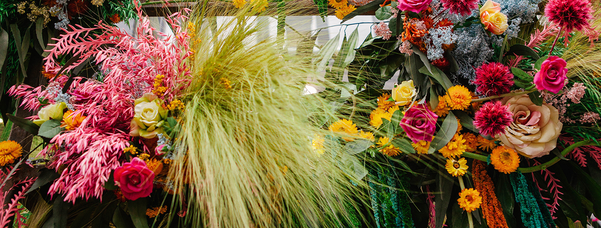 England United Kingdom Great Britain London Chelsea Flower Show Expert