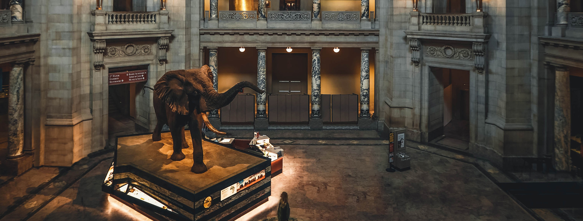 Expert Museum Usa America Washington Dc Dc Natural History Smithsonian