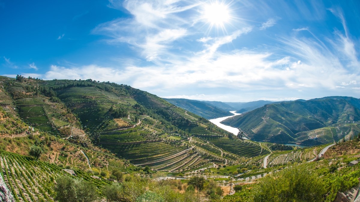 Douro River Valley