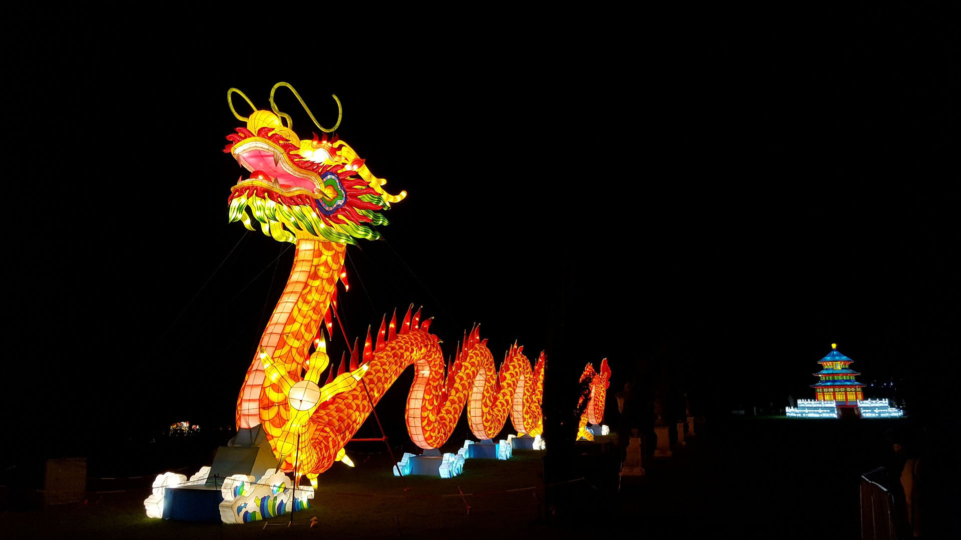 Chinese New Year Dragon Parade Lunar Laterns Night Light Glow Celebrate What To Know Expert Advice