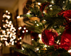 Expert Christmas Tree Lights Orniments