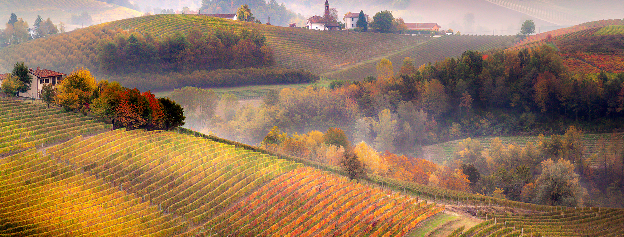 Italy Tuscany Autumn Vineyard Hills Fall Harvest Grapes Vendemmia Expert Travel Advice