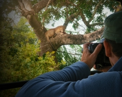 Africa Safari Leopard Photography Tips Travel Pictures Advice Tinted