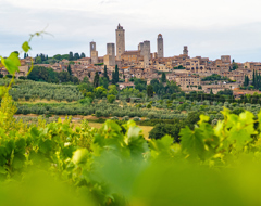 Italy San Gimignano Tuscany Wine Vineyard Hill Expert Vine