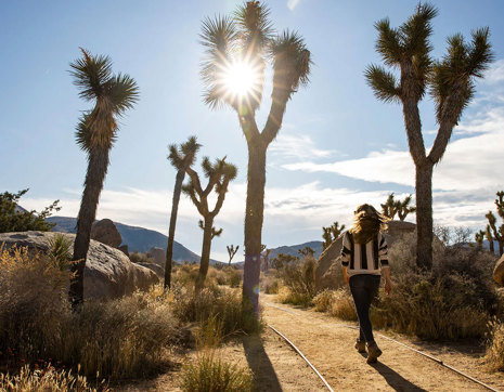 Usa California Joshua Tree Walking