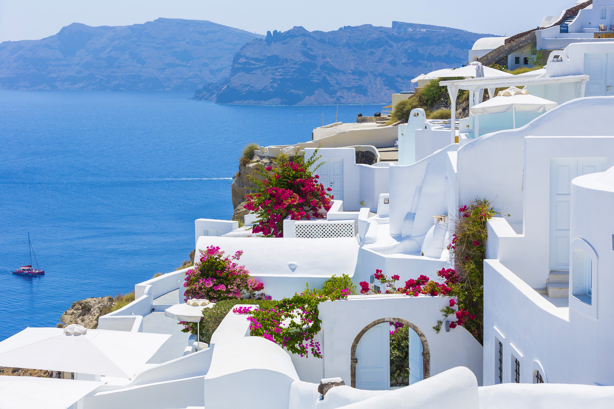 Greece Santorini White House Pink Flowers On Rooftops